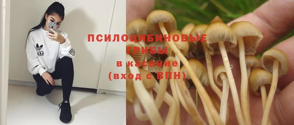 гашишное масло Горнозаводск