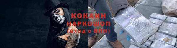 дживик Горняк