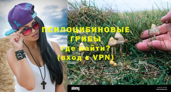 дживик Горняк