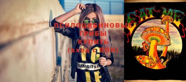 дурь Горно-Алтайск
