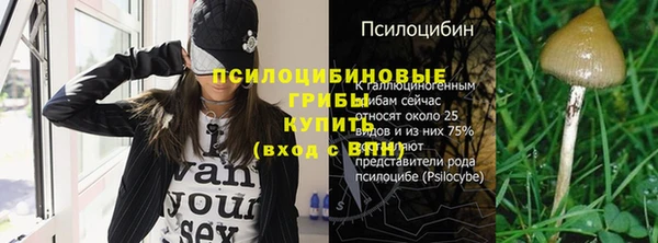 дурь Горно-Алтайск